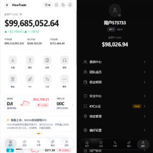 海外股票交易系统/美股交易/大宗/IPO/理财/分销